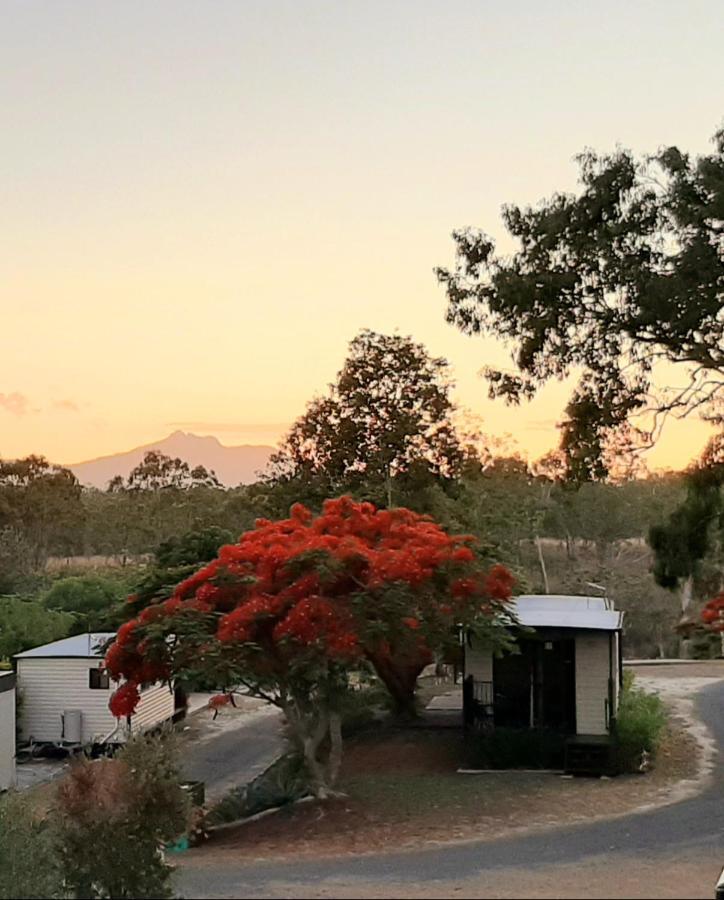 Mt Larcom Tourist Park Hotel Mount Larcom Exterior photo